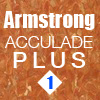 amstrong_accolade01s
